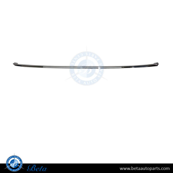 BMW 3 Series F30 LCI (2016-2018), Rear Bumper Moulding Luxury - Chrome (Center), Taiwan, 51127384572