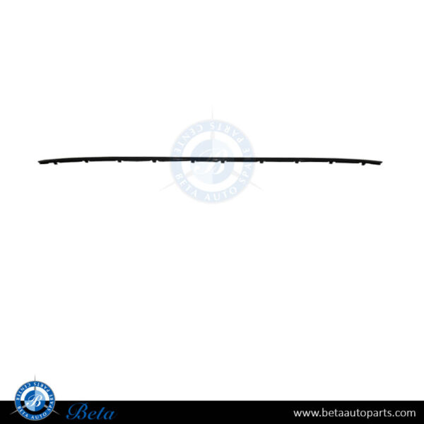 BMW 3 Series F30 LCI (2016-2018), Rear Bumper Finisher (Sport Line), Taiwan, 51127384571