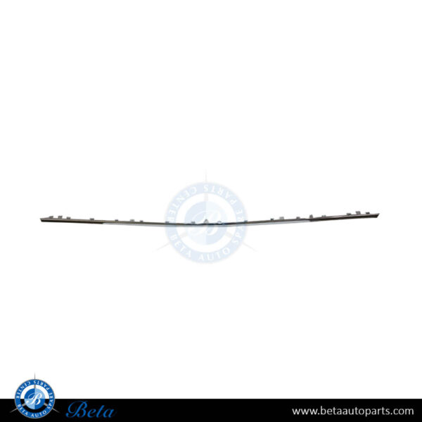 BMW 5 Series F10 LCI (2014-2016), Rear Bumper Moulding Luxury - Chrome (Center), Taiwan, 51127341672