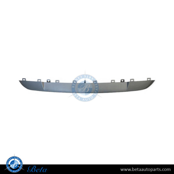 BMW X1 E84 (2011-2015), Front Bumper Moulding X-Line - Chrome (Center), China, 51117303759