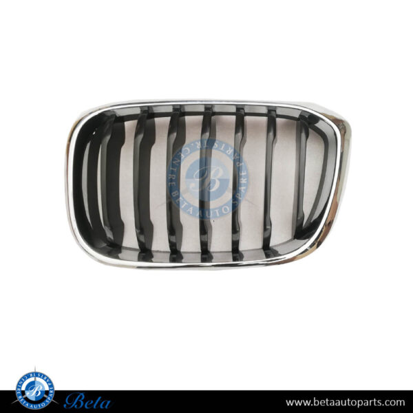 BMW X3 / X4 G01 / G02 (2018-2021), Radiator Grille (Left), China, 51137397465 / 51137440853