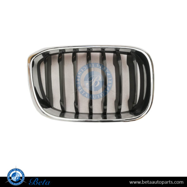 BMW X3 / X4 G01 / G02 (2018-2021), Radiator Grille (Right), China, 51137397466 / 51137440854