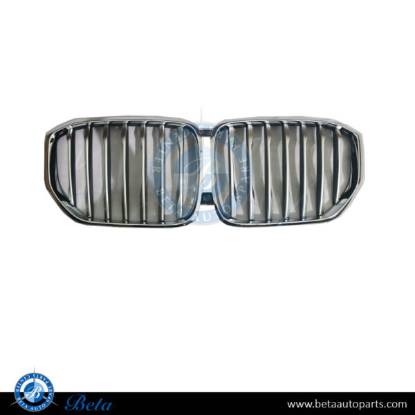 BMW X5 G05 (2019-2023), Radiator Grille, China, 51137454887