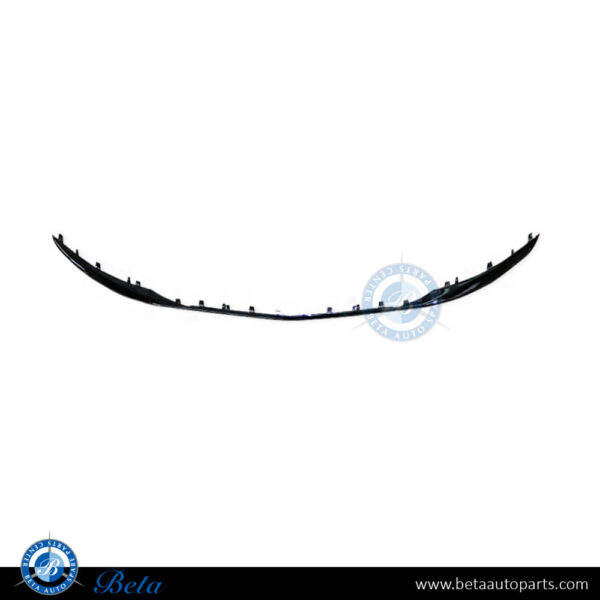 c900.jpg Mercedes S-Class W222 (2018-2020), Front Bumper Middle Moulding Maybach - Center, China, 2228854900