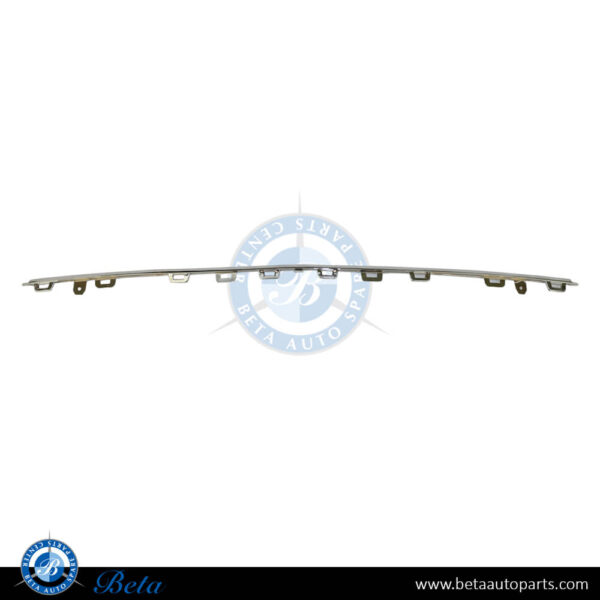 Mercedes S-Class W222 (2018-2020), Front Bumper Moulding AMG S63 S65 - Chrome (Center), Taiwan, 2228851001