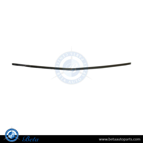 Mercedes S-Class W221 (2010-2013), Front Bumper Moulding - Chrome (Center), China, 2218850021