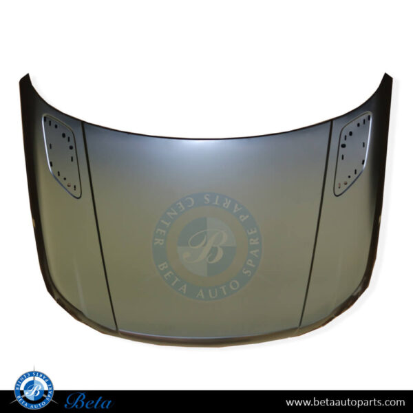 ranger-rover-sport-engine-hood-LR004230-spare-parts.jpg Range Rover Sport (2013-Up), Hood, China, LR044230