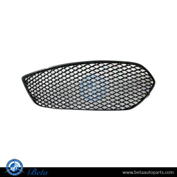 t2.jpg Mercedes CLA-Class C117 (2013-2016), Front Bumper Grille Normal AMG and AMG CLA45 (Left), Taiwan, 1178851722