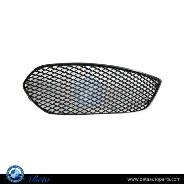 t2flp.jpg Mercedes CLA-Class C117 (2013-2016), Front Bumper Grille Normal AMG and AMG CLA45 (Right), Taiwan, 1178851822