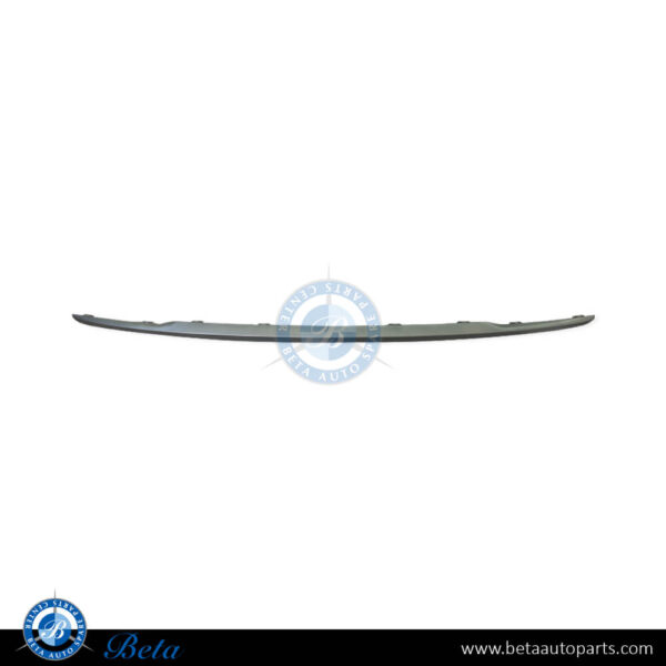 BMW 1 Series F20 / F21 LCI (2015-2019), Rear Bumper Moulding Urban - Chrome (Center), Taiwan, 51127371763